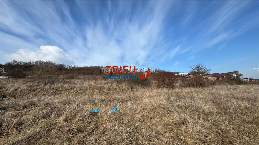 Teren zona Piata Cetate 617mp cu utilitati - 2