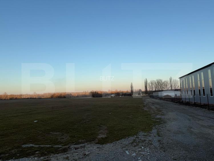 Teren intravilan industrial, 4307 mp, Podari - 3