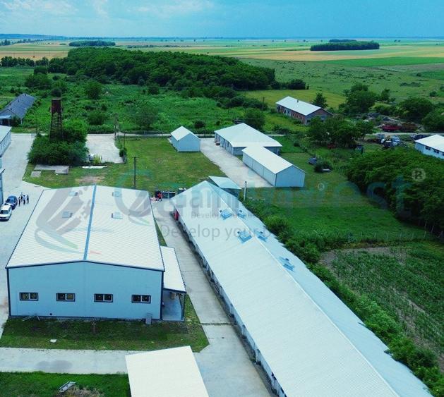Hala de vanzare cu exclusivitate, la 24 km de Oradea, in Salard, Bihor