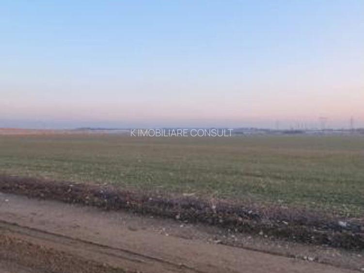 Teren intravilan 5000 mp de vânzare   Cheiul Dâmboviței apropiere A2 - 9