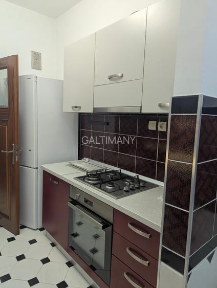 Apartament 3 camere Primeverii, 2 min Metrou Aviatorilor, 3 min Herastrau parc - 19