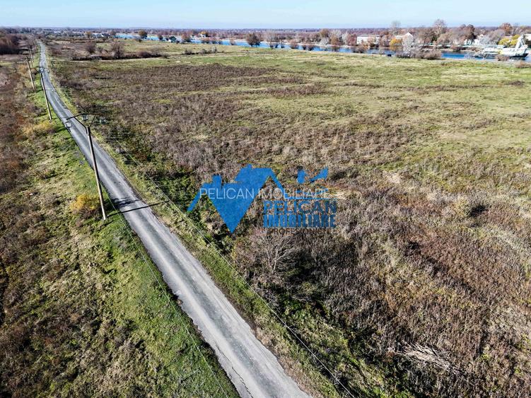 Teren intravilan VULTURU, 5300 MP, front la Dunare 26 ML - 13