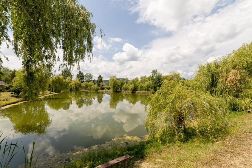 Se vinde Balta Flamina - Sat Bunești, Com. Mălureni