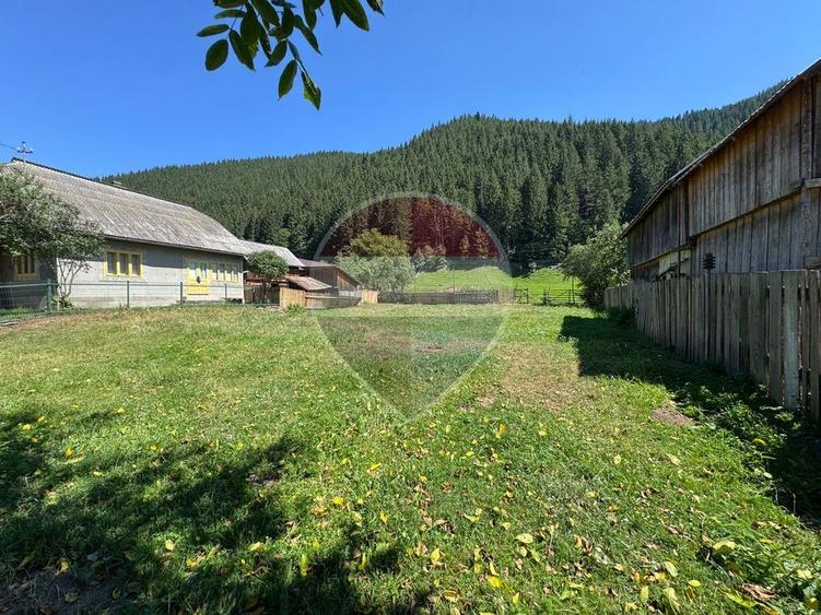 De vanzare | Teren 5412mp , Scoala Sabasa | Borca | Neamt