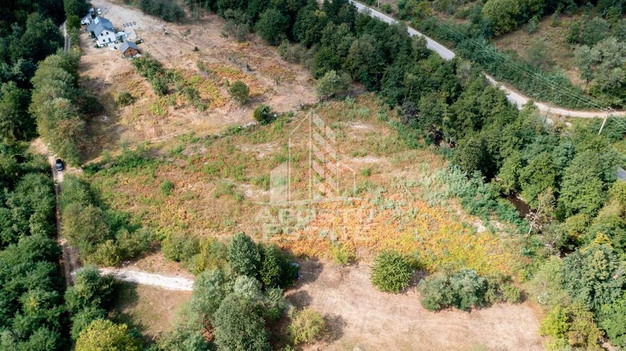 Teren de vanzare, 5000mp, cu iesire la rau, in Borlova, Muntele Mic