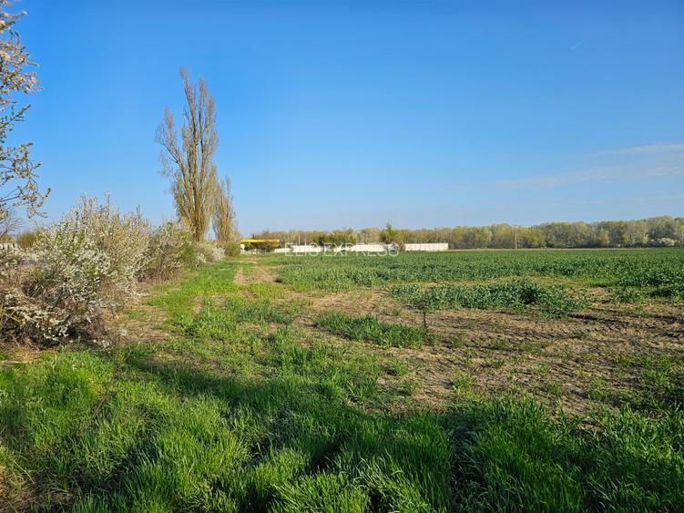 10.100mp TEREN CONSTRUCȚII INTRAVILAN POTIGRAFU, DESCHIDERE 31m direct la DN1 - 3