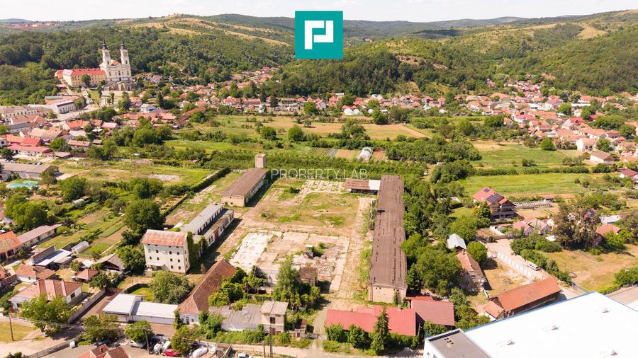 Spațiu industrial cu Teren 13.072 mp în Lipova - 6