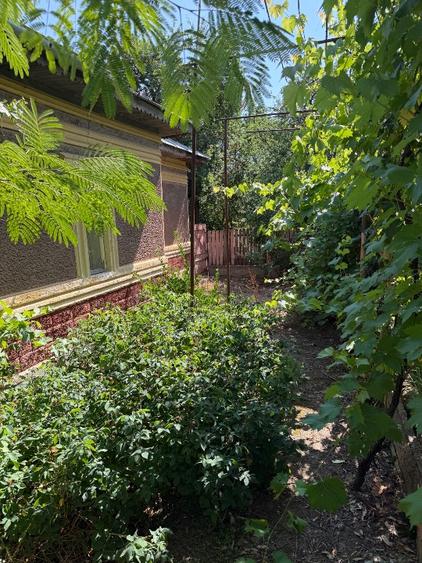 Casa cu teren la tara