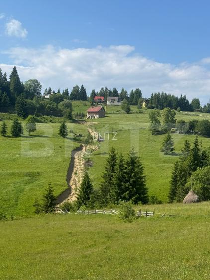 Oportunitate de Investiție Unică – Teren 1.800 mp, la 1 km de Hotel Dracula - 2