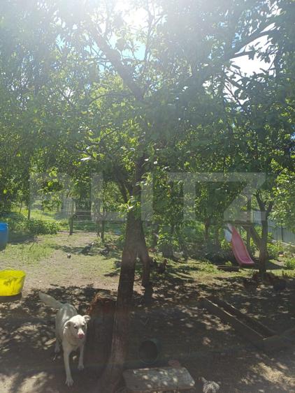 Casă de locuit si spatiu comercial, teren 7300 mp, Hreatca, com. Vulturesti