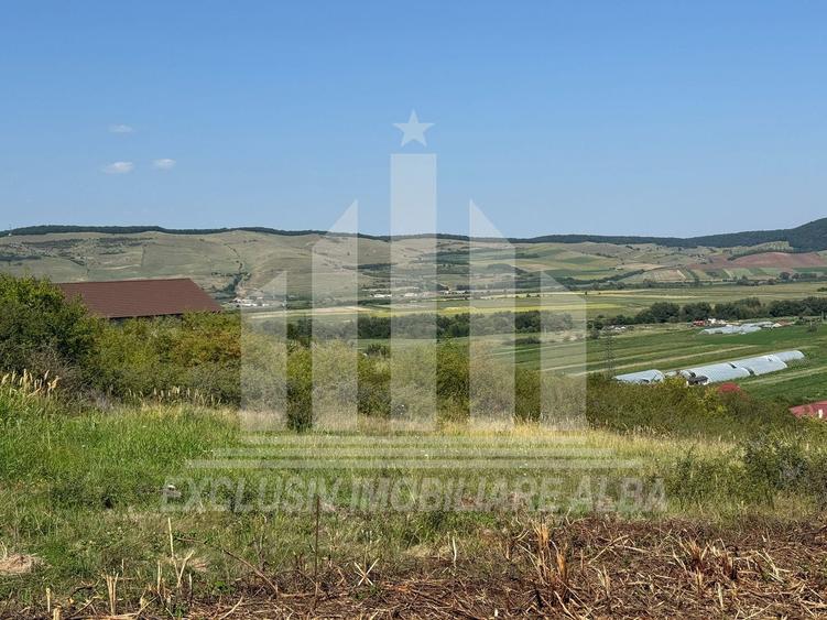 Teren intravilan | De vanzare | 1000 mp | 17 ml deschidere | Micesti