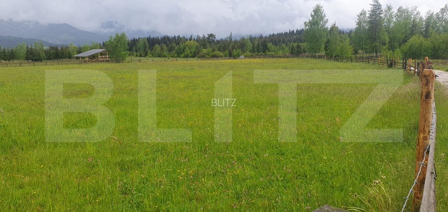 Teren extravilan, 6200 mp, zona Saru Dornei - Vatra Dornei - 2