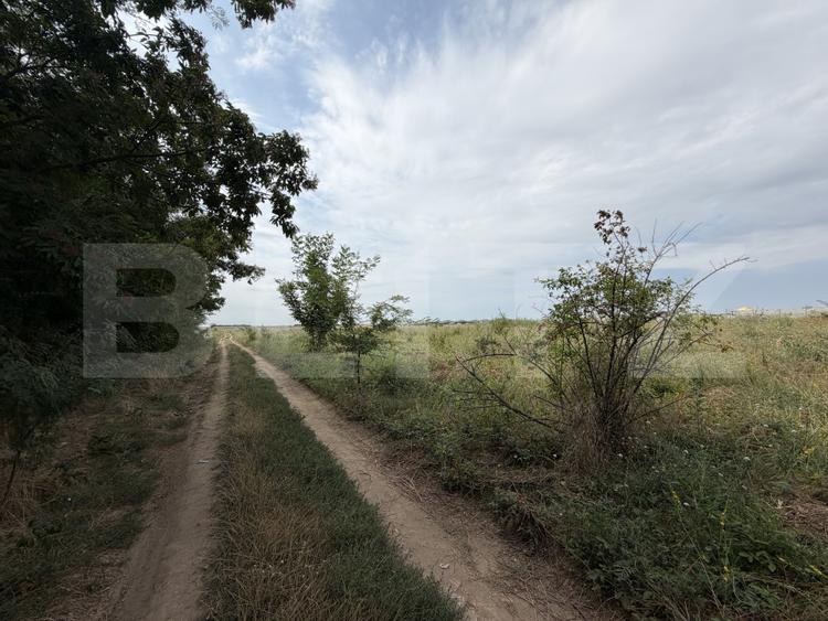 Parcela 702 mp, dubla deschidere, Carcea - Metro