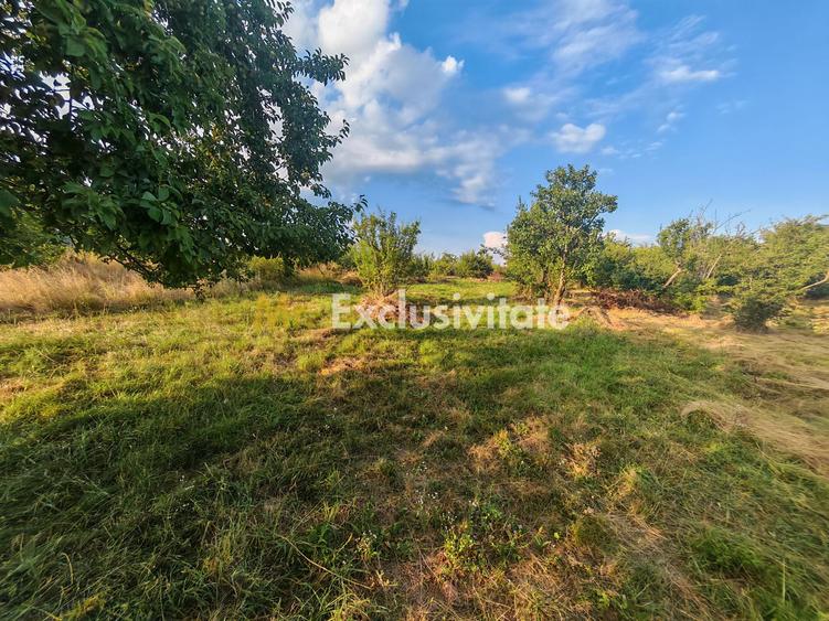 Teren intravilan 1.600 mp Mioveni – Zona Pruni
