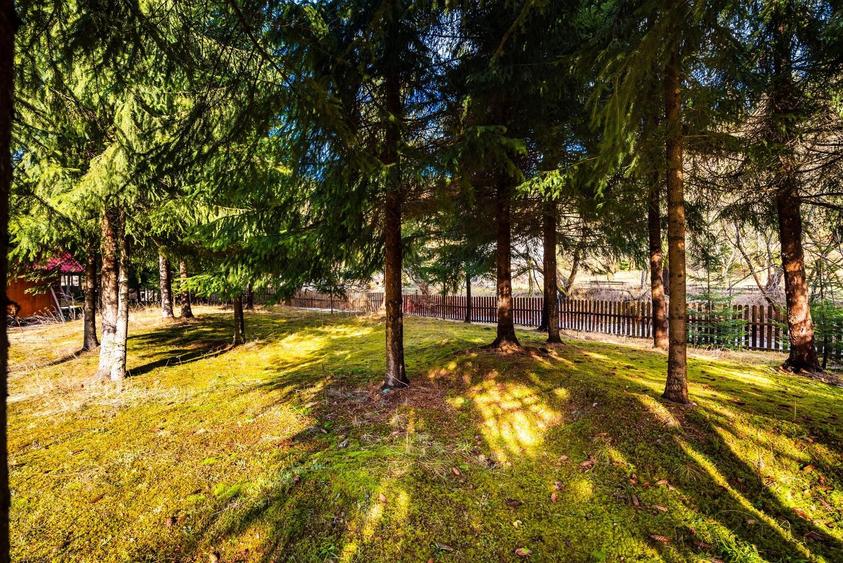 Cabane cu 10 camere Arieseni