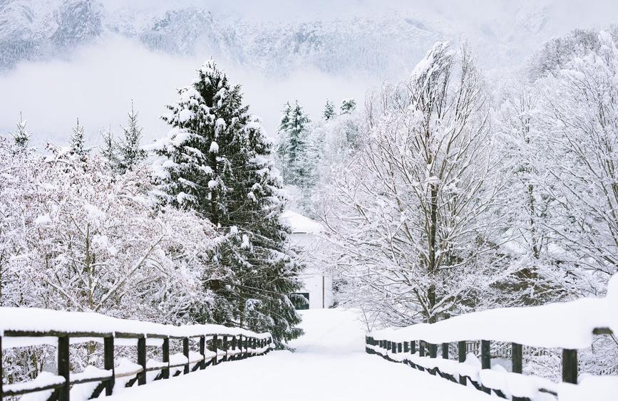 Vila la munte Brasov-Zarnesti, Piatra Craiului, Plaiul Foii, Gym, sauna, jacuzzi - 2
