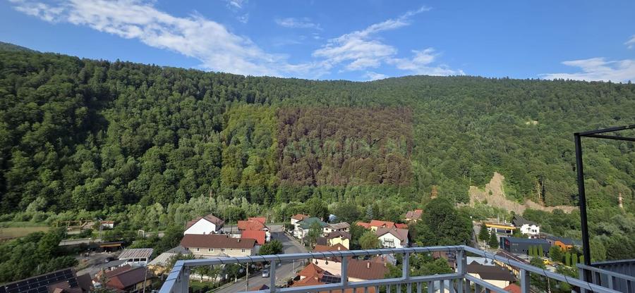 Apartament de vanzare in Sinaia cu view superb