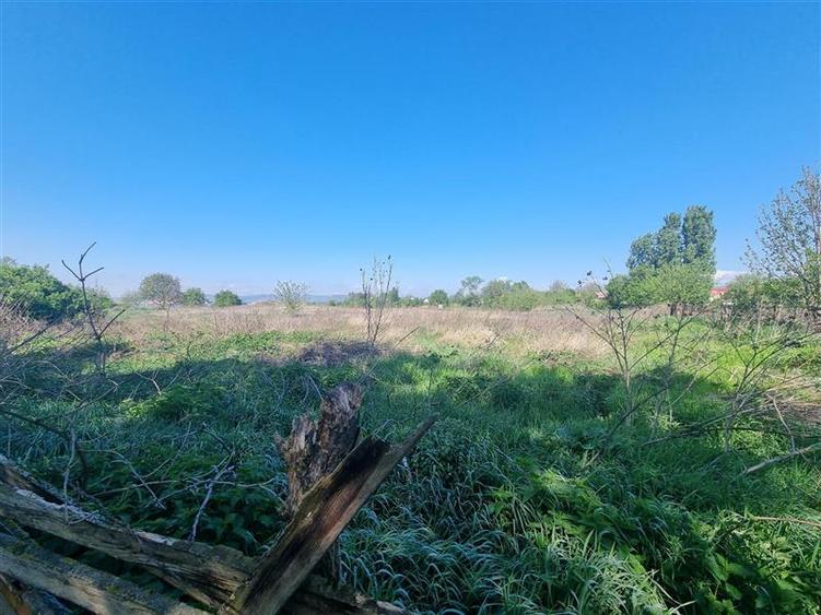 Teren intravilan de vanzare 14900 mp, 43m deschidere Mureseni, Mures