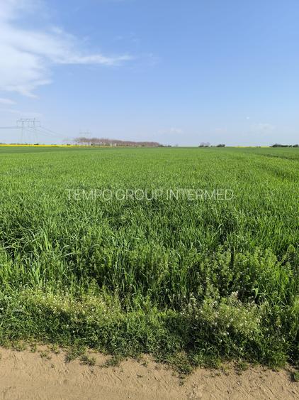 Frumusani DN 4 Popas-20km de Bucuresti , posibilitate parcelare