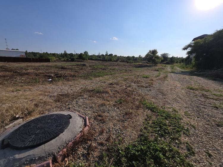 Green City I Proiect case insiruite I 3000 mp lotizat