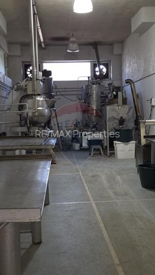 Complex multifunctional-Business & Logistic Campus-Spațiu industrial - 23