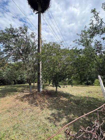 Teren 22 ari Ortelec -14 ari intravilan+8ari extravilant 49.000eur neg