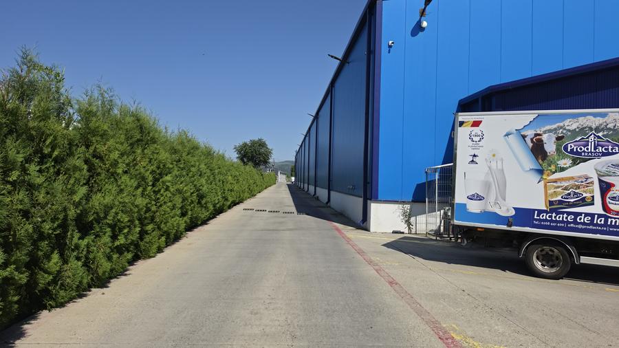 Hala industriala moderna de inchiriat – Letea Veche, Bacau