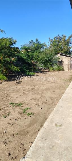 CUMPANA CASA LA ALB  4 CAMERE  TEREN 575 MP PRET 165.000 EURO - 7