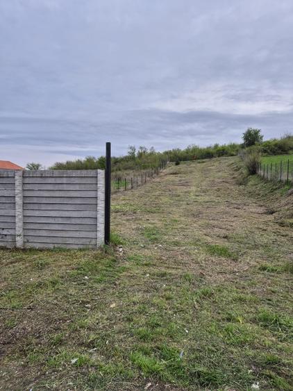 Teren intravilan  Podari