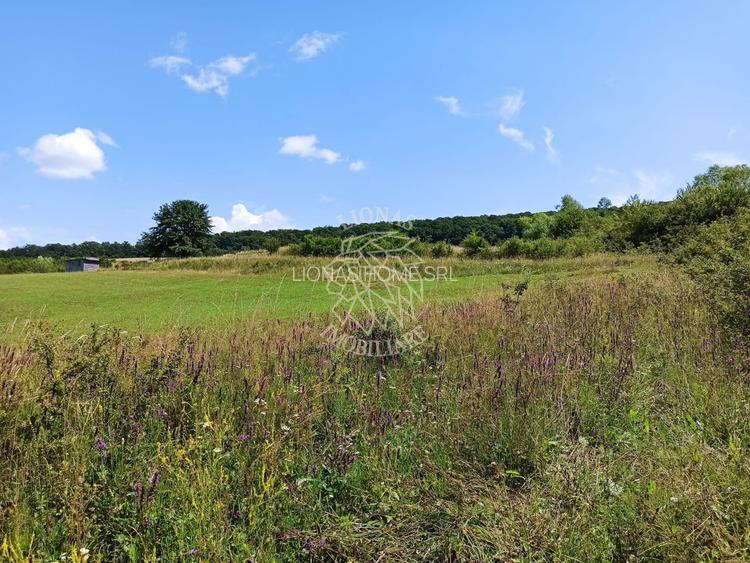 Parcele teren 4038 mp - Parcelabil - Zona Valea Stanelor - 6