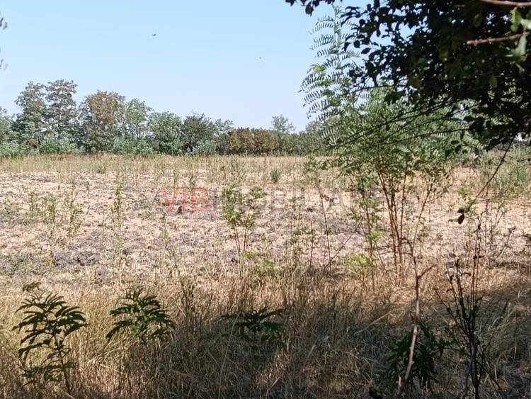 Parcele teren constructii In Cheveresu Mare