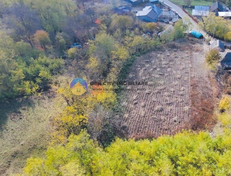 Teren de vânzare 11.766 mp – Costișa, județul Neamț