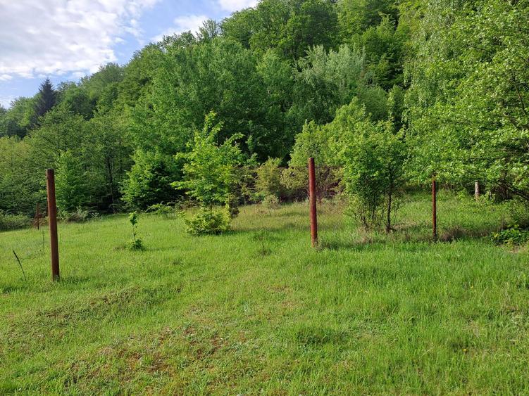Teren de vz in Berevoiesti / AG ( zona Pastravaria Rausor)
