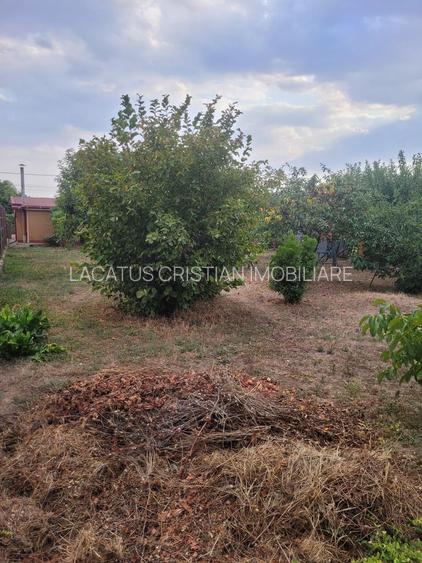 CASA SUPERBA 4 CAMERE ZONA VALU LUI TRAIAN 933MP - 33