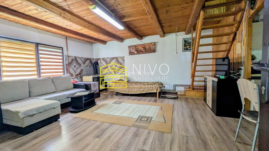 Cabană – Mureș – Sălard – Zona Pensiunea Denisa - 14