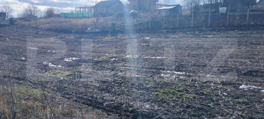 Teren cu autorizatie 2 duplexuri, 4600 mp intravilan, Miroslava