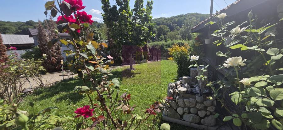 Casa 5 camere de vanzare in Mislea