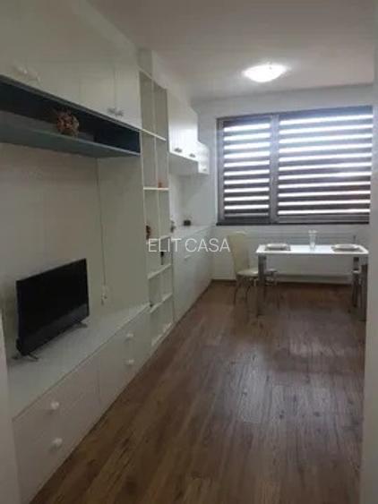 Apartament cu 1 cameră, BLOC NOU, zona Tatarasi - 2