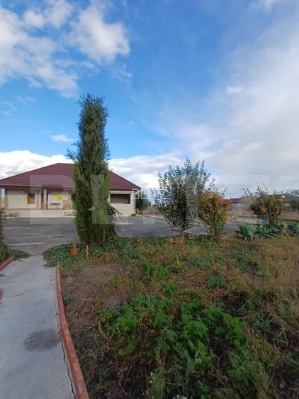 Exclusivitate!!! Doua proprietati, teren 3289 mp, Gligoresti, langa Luna - 6