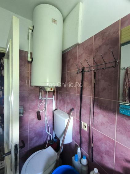 DE VÂNZARE – Domeniu cu casă, teren și afacere zootehnică avicolă în Dochia, NT - 13