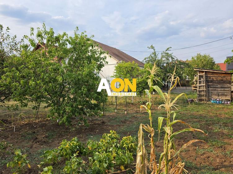 Casă 3 camere, 630 mp teren, zona Schit, Cetate