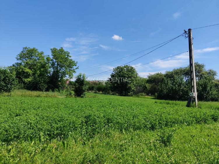 Casa la 5 km de Targu-Neamt - cu iaz si livada matura - gata pentru mutat - 15