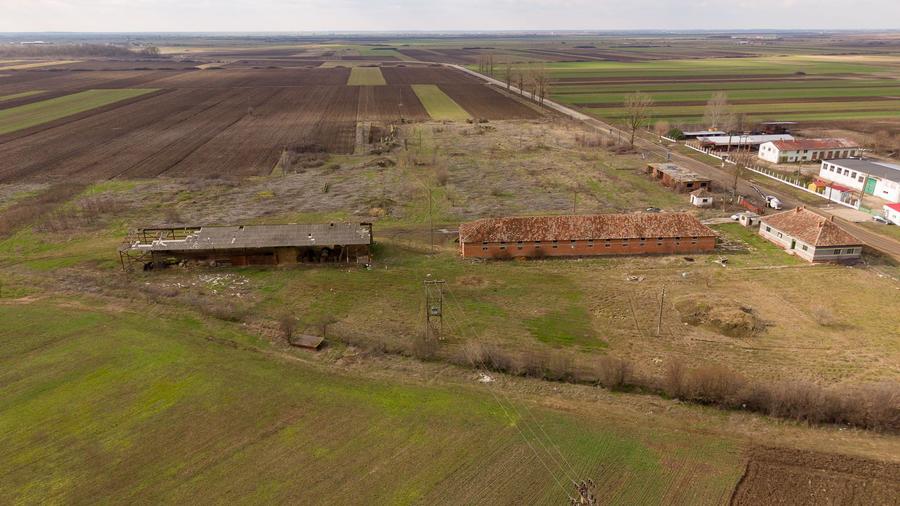 Fermă cu teren intravilan de 35000 mp în Mișca