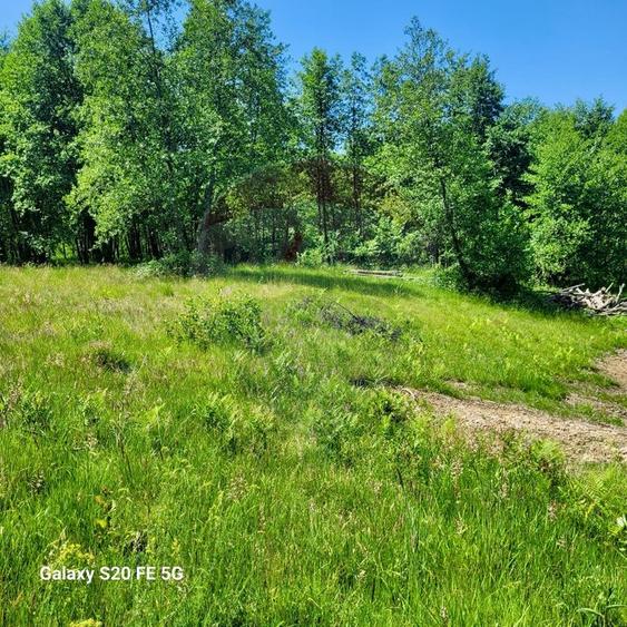 Oază de liniște – teren de vânzare 6.725 mp