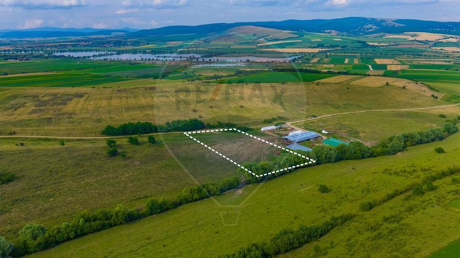 Oportunitate pentru fermieri: 10.800 mp teren arabil în Rotbav, Brașov