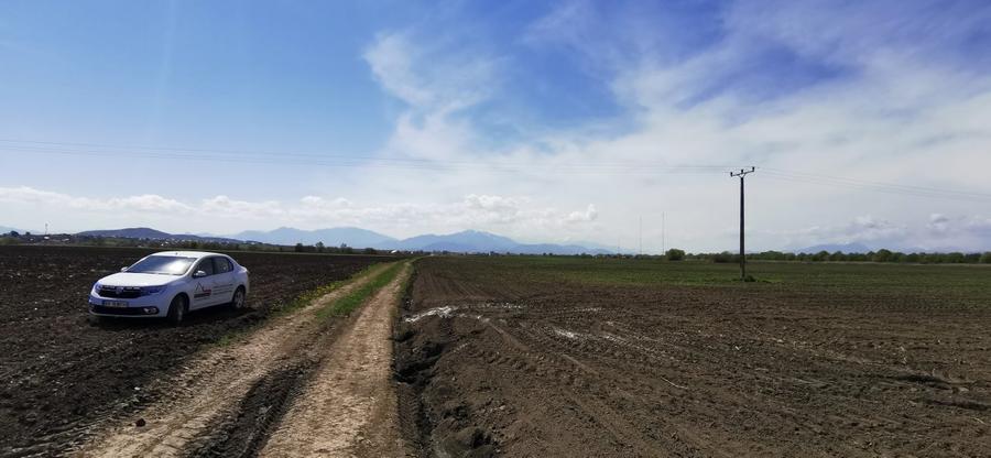 TEREN AGRICOL DE VANZARE - BOD - BRASOV 4,5 HA