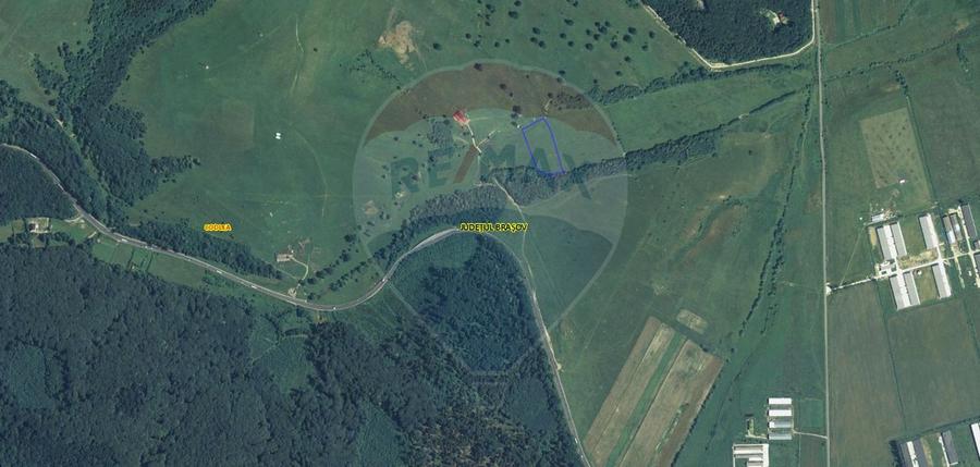 Teren 10,000mp Codlea / DN 1