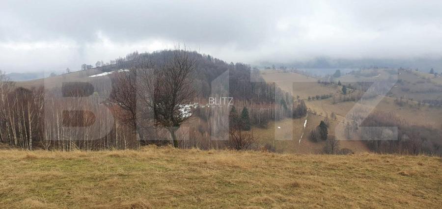 Teren 9648 mp, priveliste superba, Poiana Marului! - 6