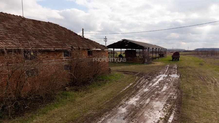Fermă cu teren intravilan de 35000 mp în Mișca - 14