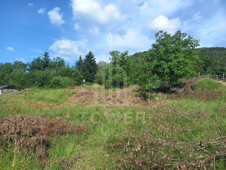 Teren în Fântânele – 3.673 mp, pârâu si cadru natural deosebit